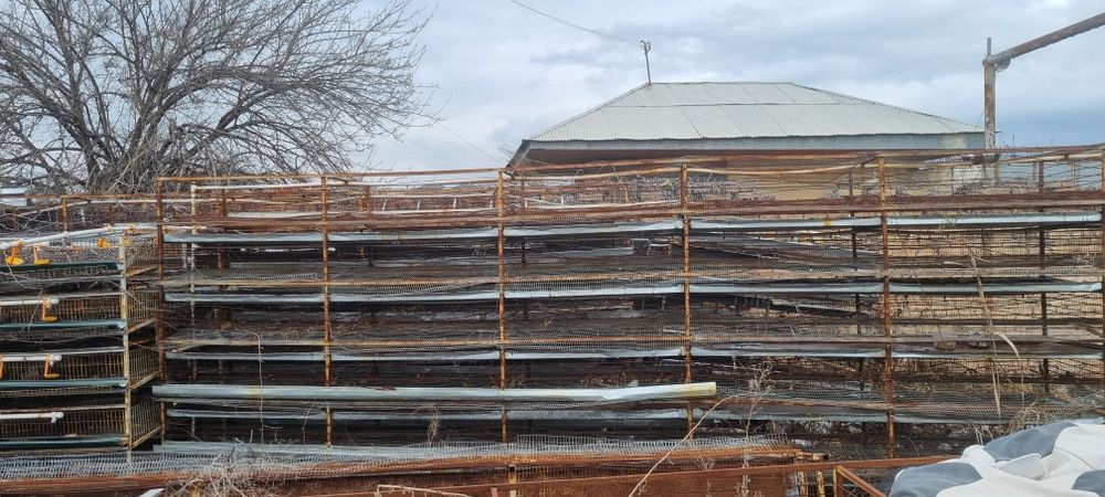 Бедана кафас Клетки для перепелов