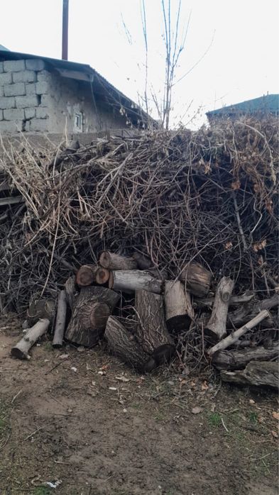 Ағаш отын кесілген