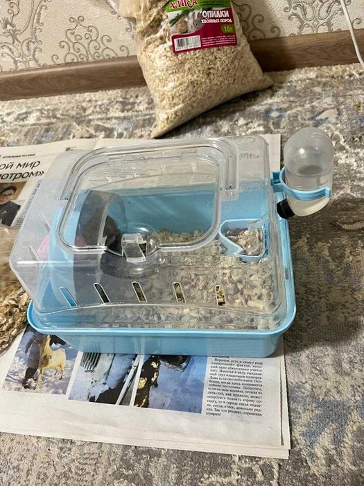 Хомяк с контейнером