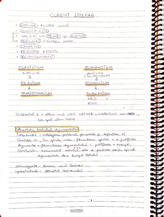 Caiet meditatii romana BAC 2025 bac de nota 10