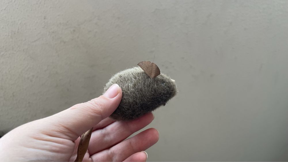 Продам все для кошек
