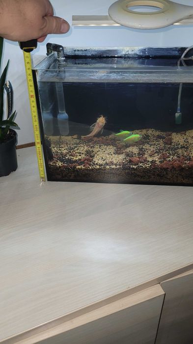 Малък Аквариум с рибки