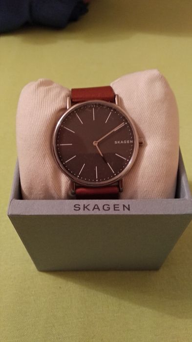 Ceas bărbătesc Skagen