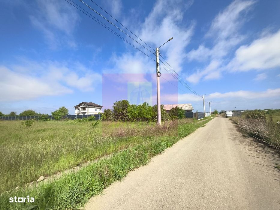Teren intravilan 1 Decembrie – loturi 600–720 mp + cotă drum Utilitati