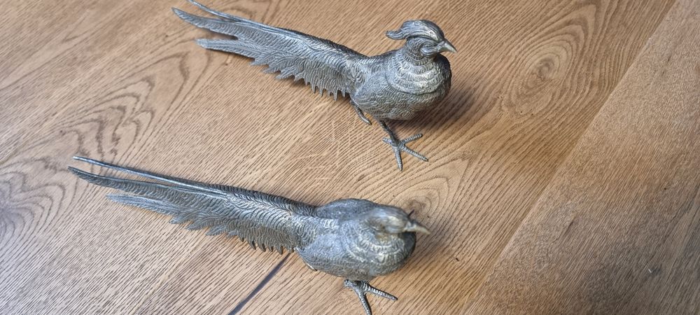 Бронзови фазани , мъжки и женски