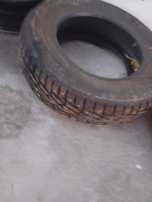 Шипы в хорошем состоянии