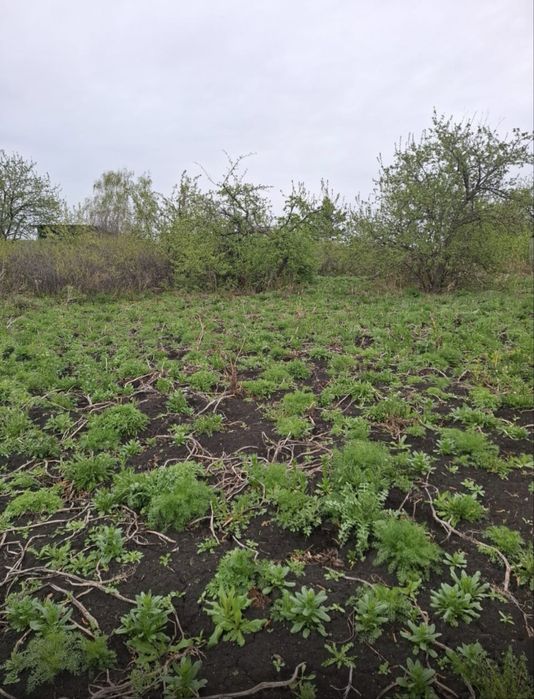 Продам дачный участок