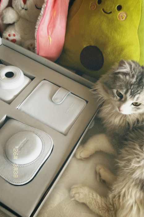 InstaX mini 12 (фотоаппарат)