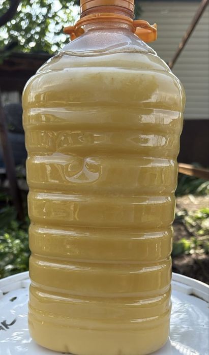 Продам мёд 2025 года