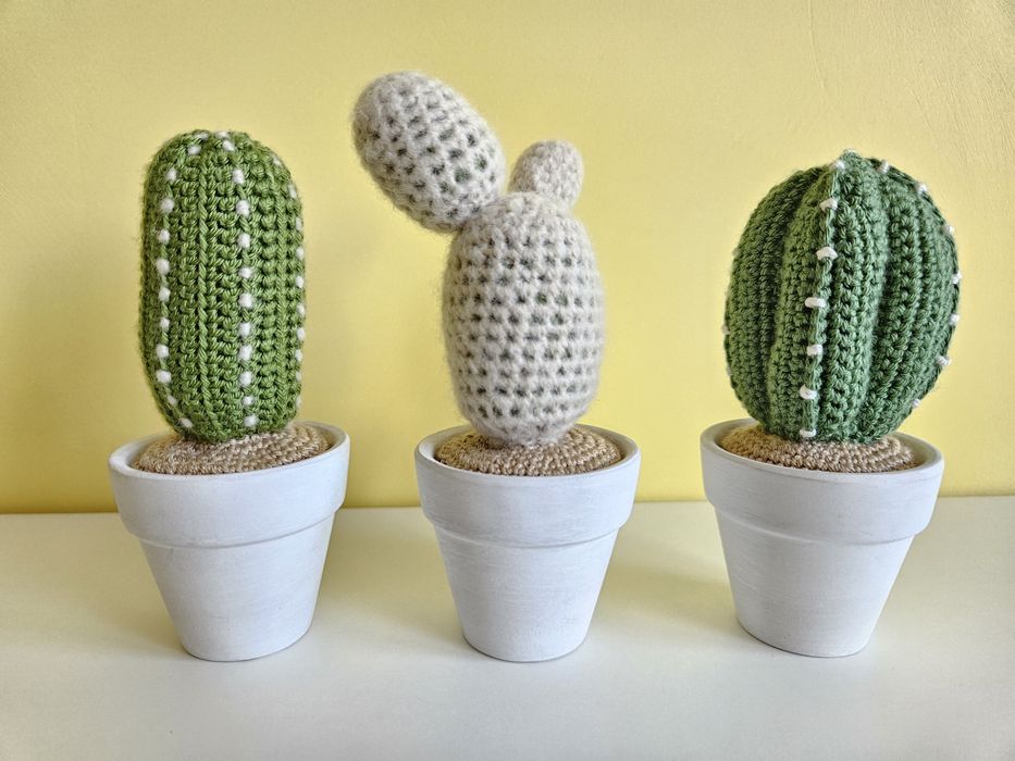 Плетени на една кука кактуси