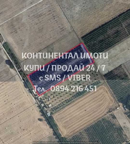 Овощна градина 9дка, оградена с капково до регулация - код 14886