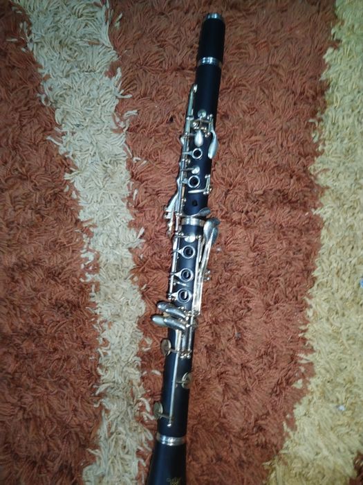 Vand clarinet parrot