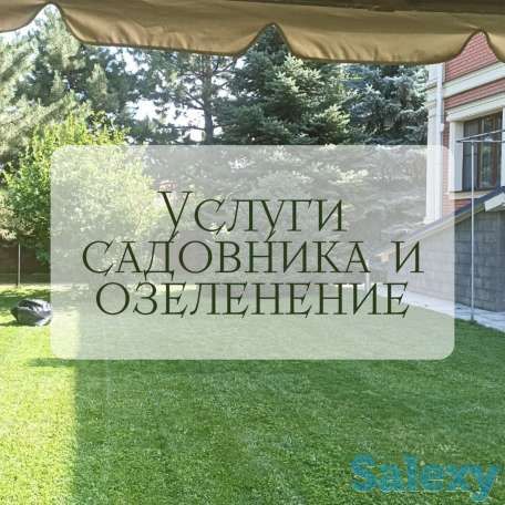 Уборка территорий. Посев газона. Подстрижка кустарников. Садовник