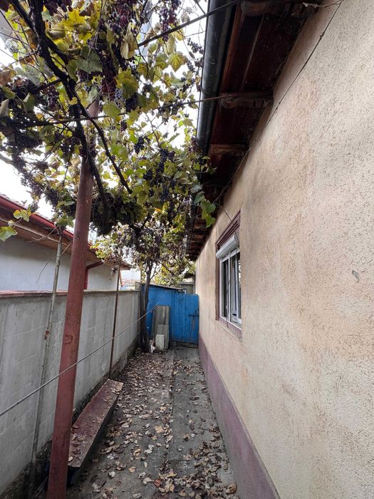 Casa 4 camere Medgidia Caramida teren 347mp