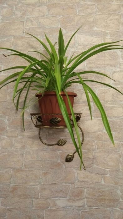 Продаю цветочницы