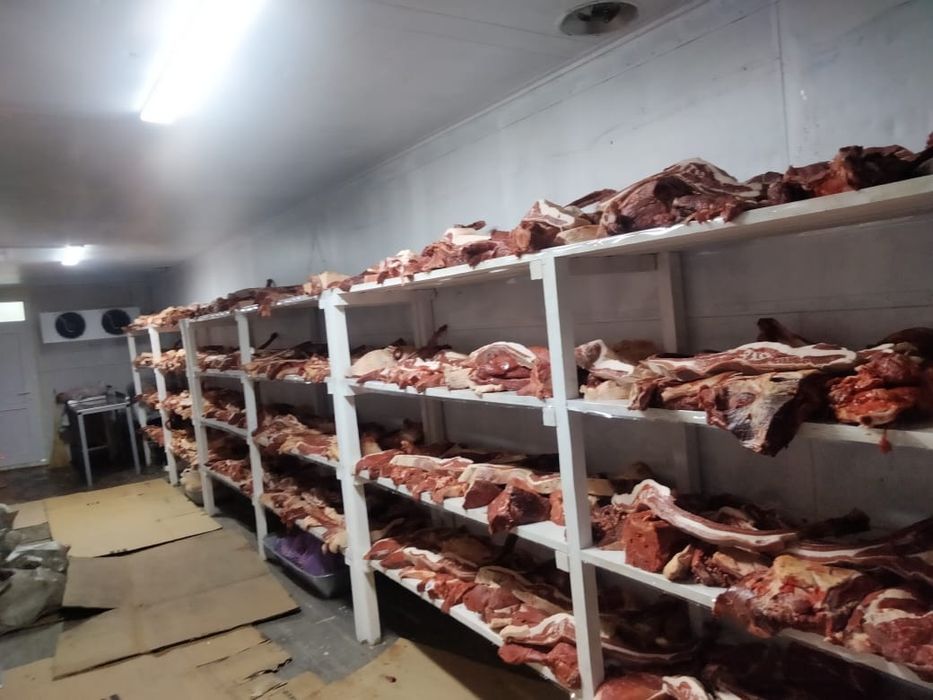 Согым на любые мероприятия