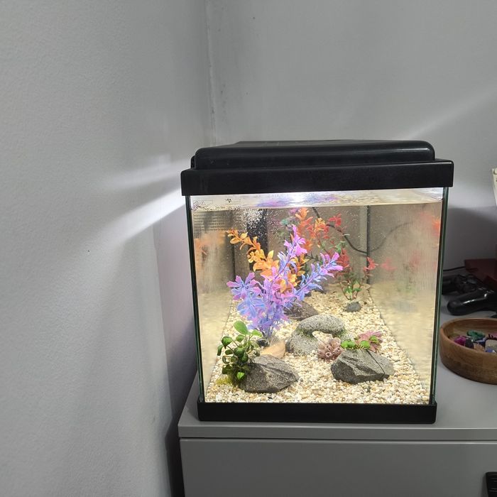 Acvariu complet 60 l