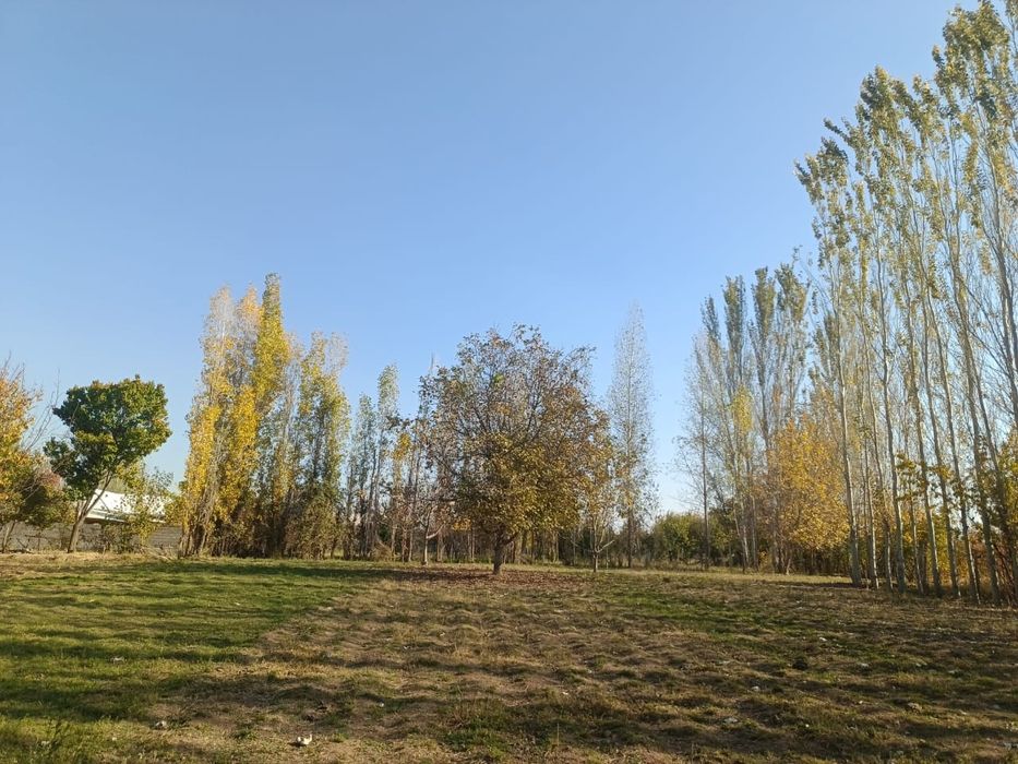 15 суток йир сотилади