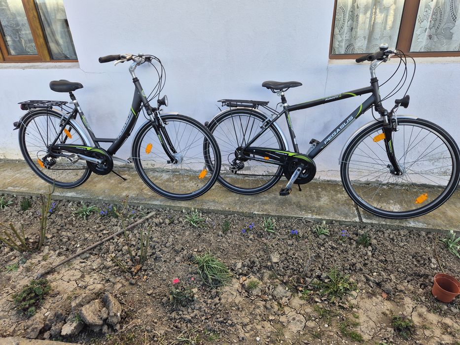 Biciclete damă barbat  pegasus avantis