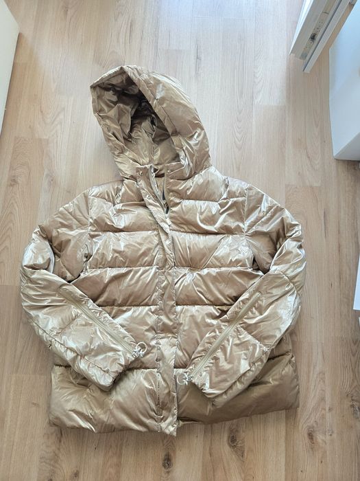 Pinko златисто  яке