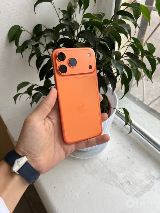 iPhone 17 pro max