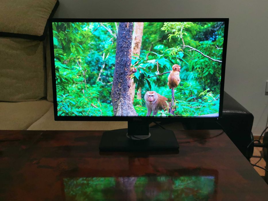 Монитор DELL P2417Hb, IPS, HDMI, DisplayPort