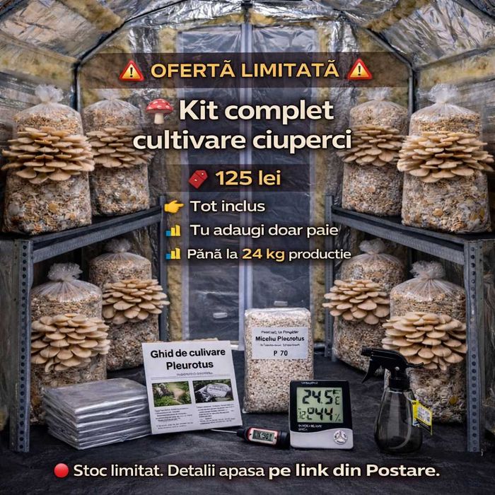 Kit complet cultivare ciuperci Pleurotus