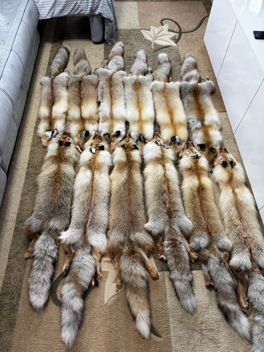 Натуральный мех . Лиса.