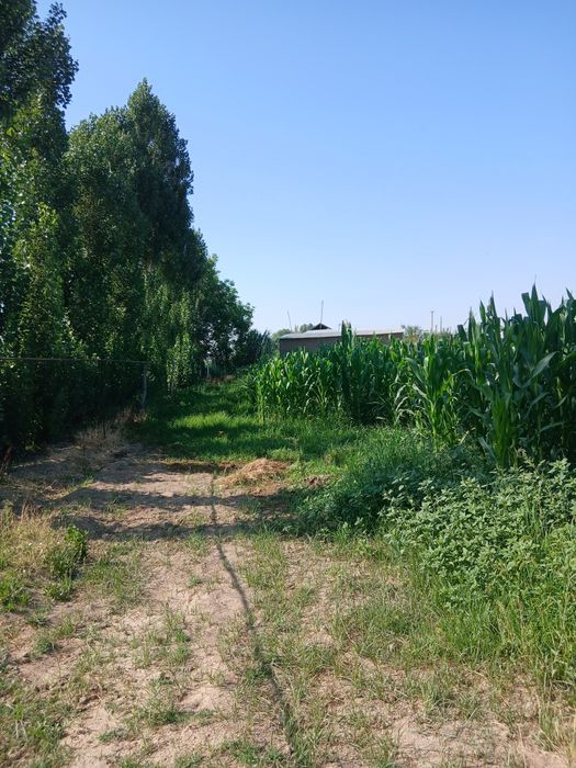 Уй сотилади 35 сотихли