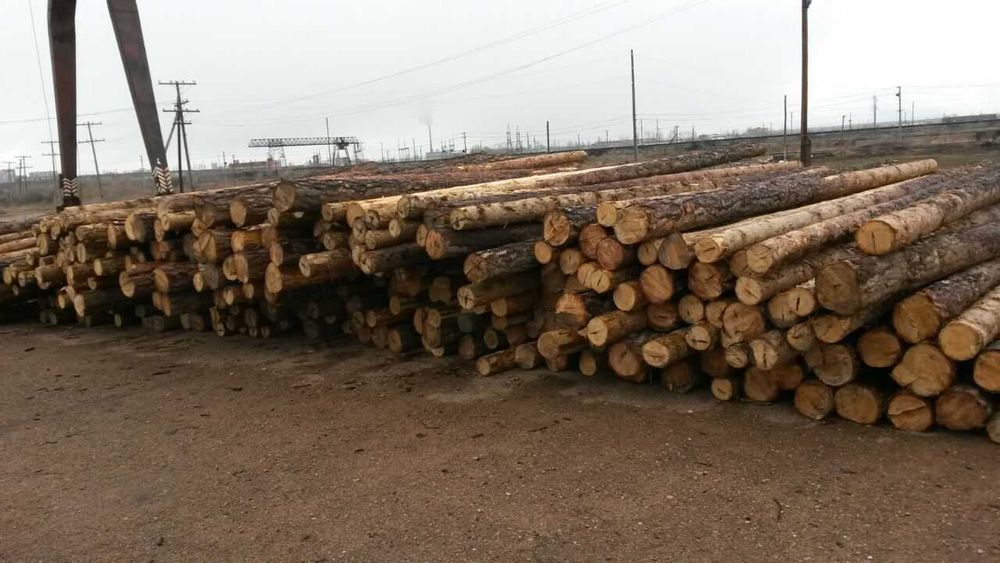 Продам деревянные опоры для ЛЭП