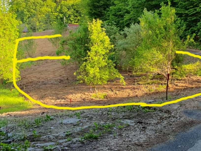 Două parcele 450 mp - strada Poienari