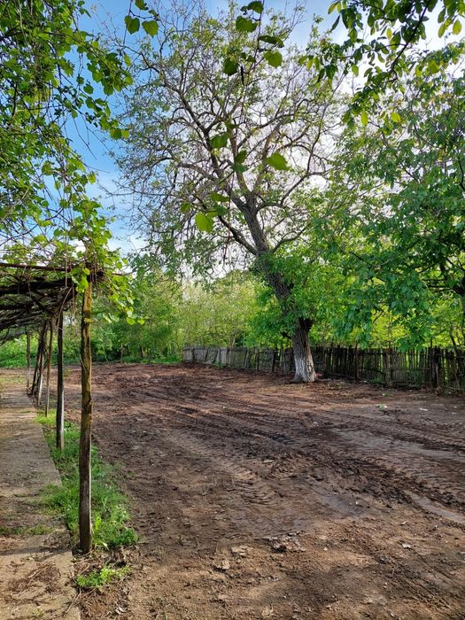 Vânzare teren cu casa batraneasca în  Merii Petchii, Ilfov