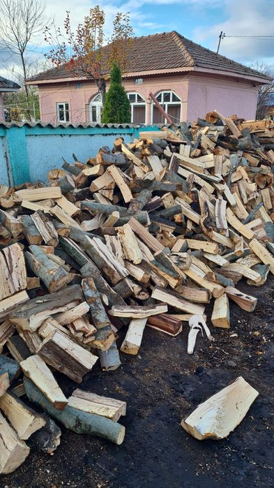 Vand Lemn de foc uscat