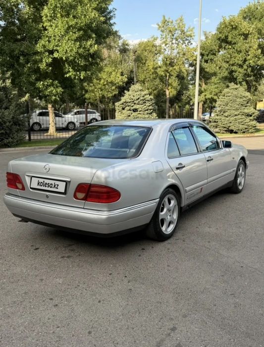 Продам Лупарик..