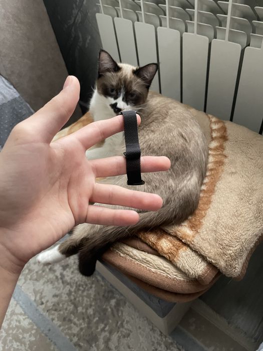 Xiaomi smart band 10