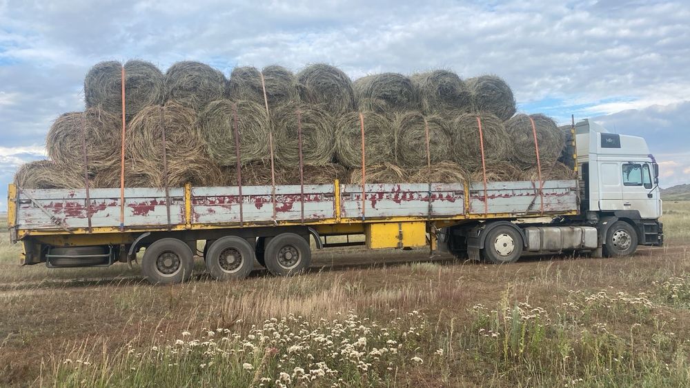 Продаем сено в рулонах