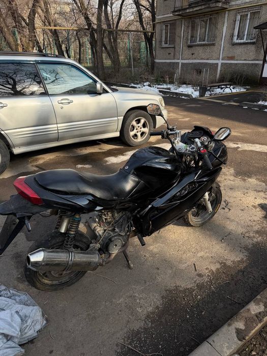 Педа Хорнет в2/Peda Xornet V2