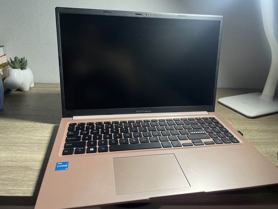 Laptop ASUS Vivobook 15 X1504VA, Terra Cotta