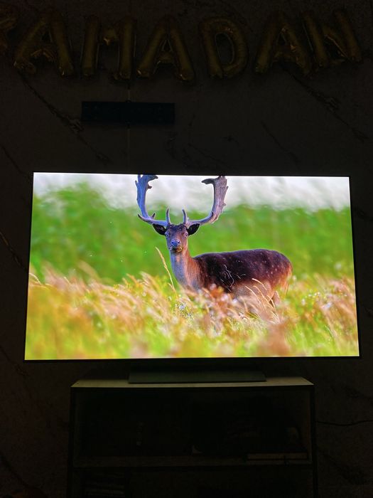 LG OLED evo 55 дюймов