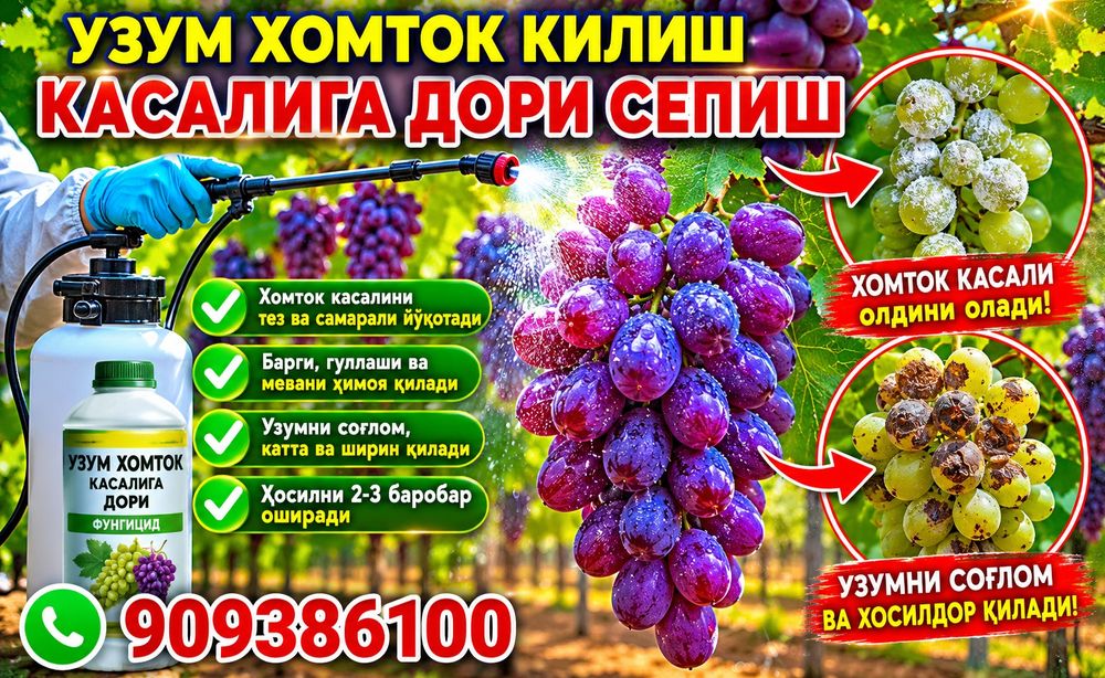 Bogbon xizmati БОГБОН хизмати