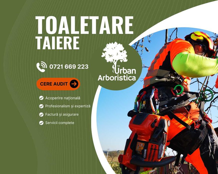 Servicii Toaletare Taiere Copaci Pomi Brașov - Firma Alpinist Arborist