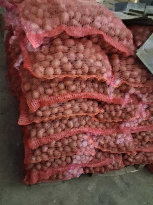 cartofi samanta al si rosu