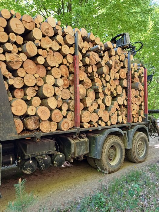 Дърва за огрев - Бук, Дъб, Бор, Трепетлика