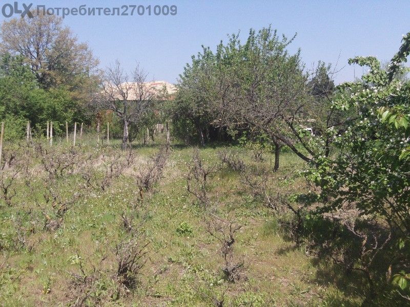 къща и дворно място