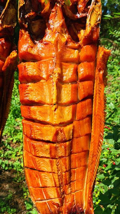 Копчёная рыба с озера Балхаш готовим сами