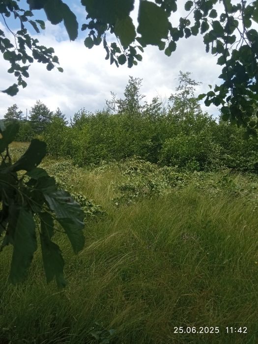 Vând teren extravilan