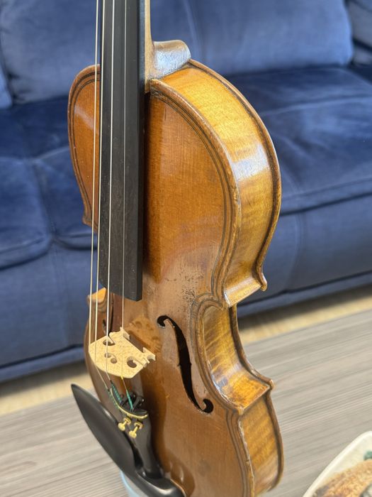 Vand vioara intreaga 4/4 model Maggini