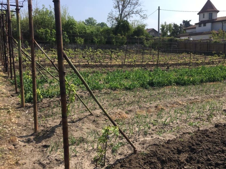 Парцел във вилна зона с панорамна гледка