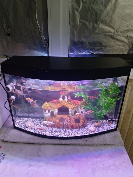 Avalniy Akvarium komplekt 60Litr