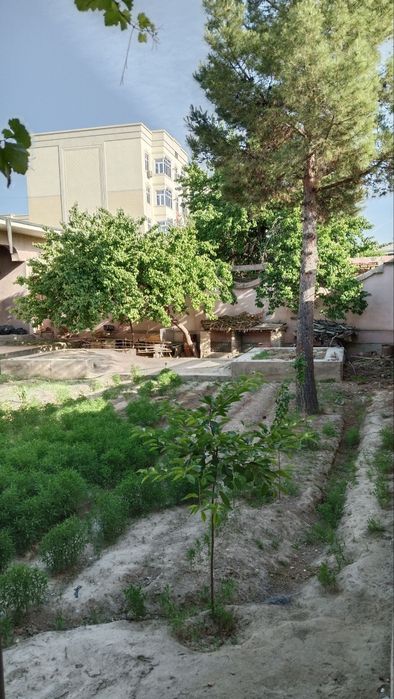 Xovli srochniy sotiladi